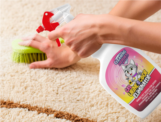tips odor